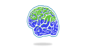 Colorful stylized brain illustration with green and blue sections.