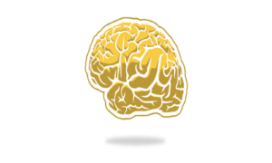 Illustrated yellow brain with shadow below.