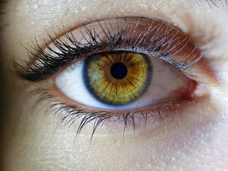 female green eye doing emdr therapy session